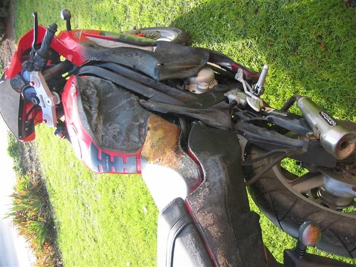 Rieju rs2 matrix byttet til jog billede 6