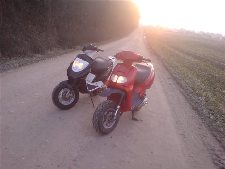 PGO Hot 50 billede 2