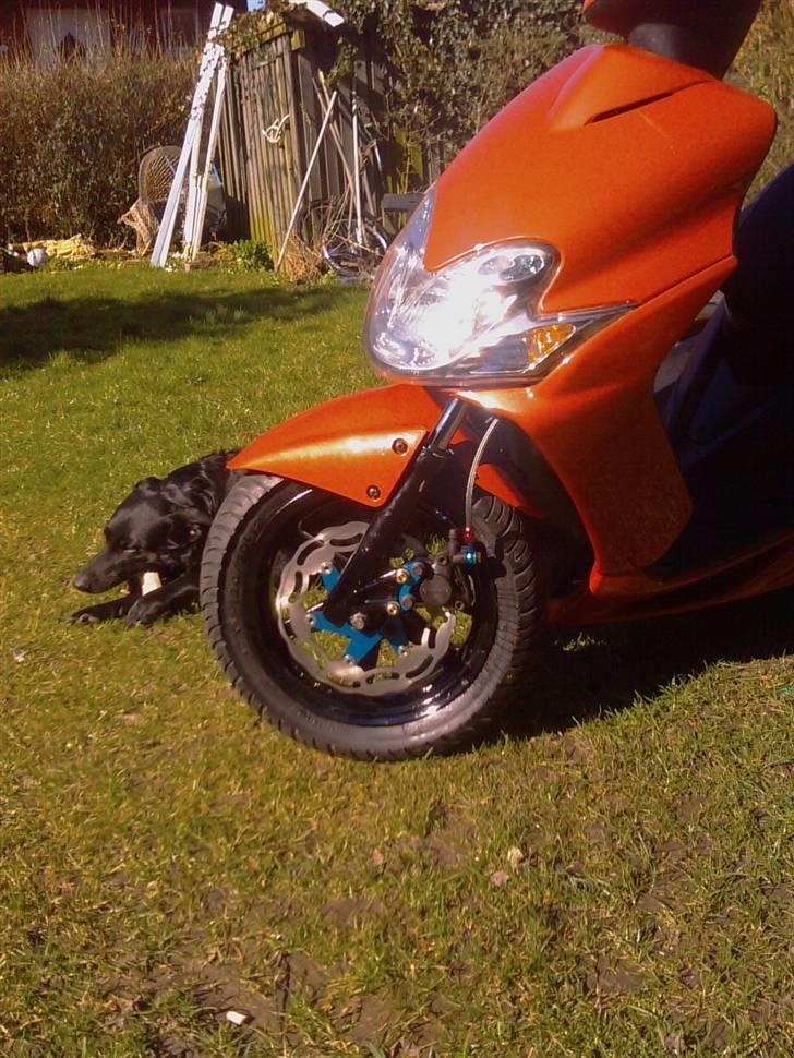 Yamaha jog R lamborghini solgt billede 1