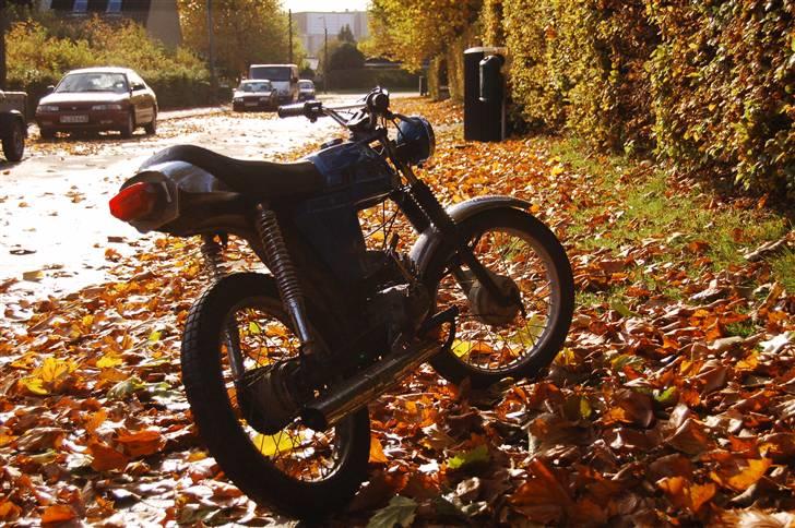 Puch Monza  - Nice body d; billede 11