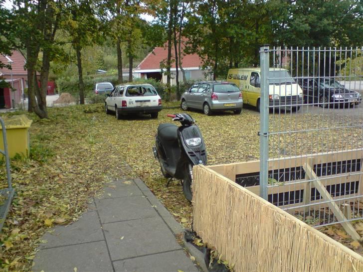 Piaggio Typhoon " Tyffe " Solgt billede 1