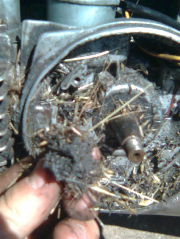 Puch maxi kl væk! billede 3