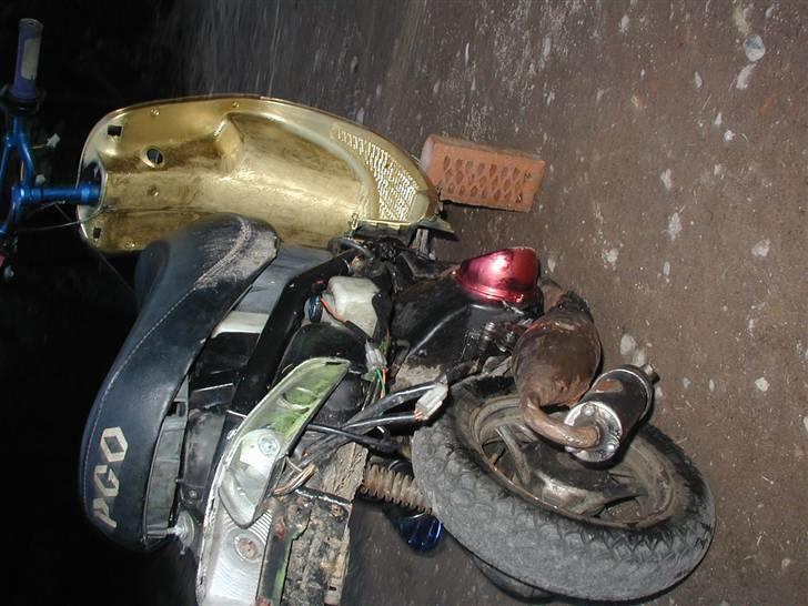 PGO comt solgte billede 1