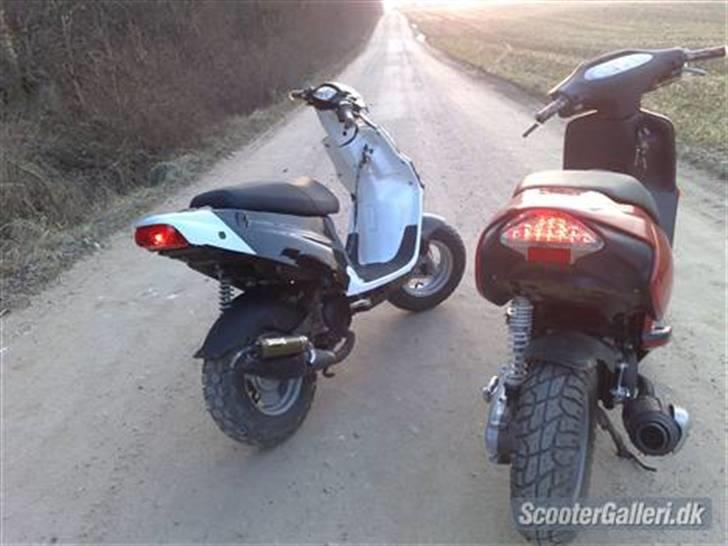 PGO Hot 50 billede 14