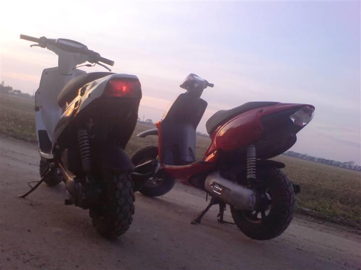 PGO Hot 50 billede 18