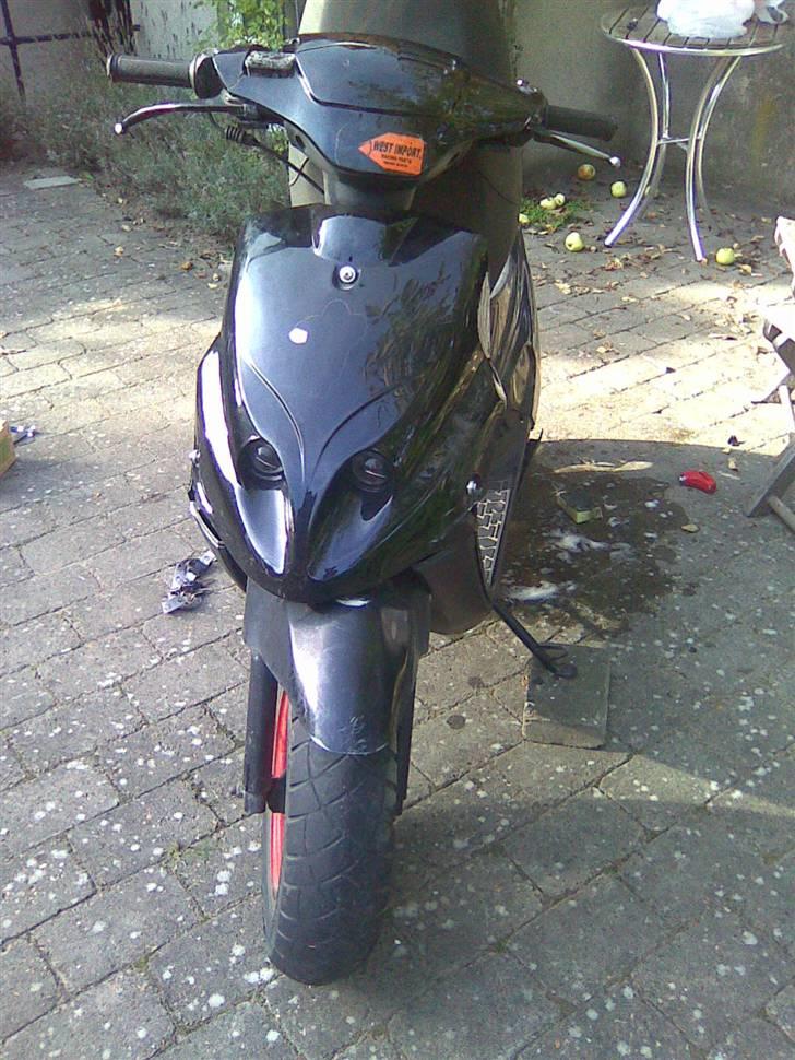 PGO Hot 50 (Gammel Model) billede 2