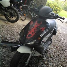 Benelli 491 AC. BYTTET TIL BWS