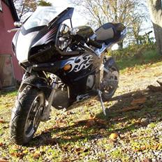 MiniBike x6   byttet