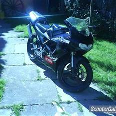 Aprilia RS50 AM6 DD
