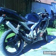Aprilia RS50 AM6 DD