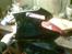 MiniBike pocket  bike solgt 