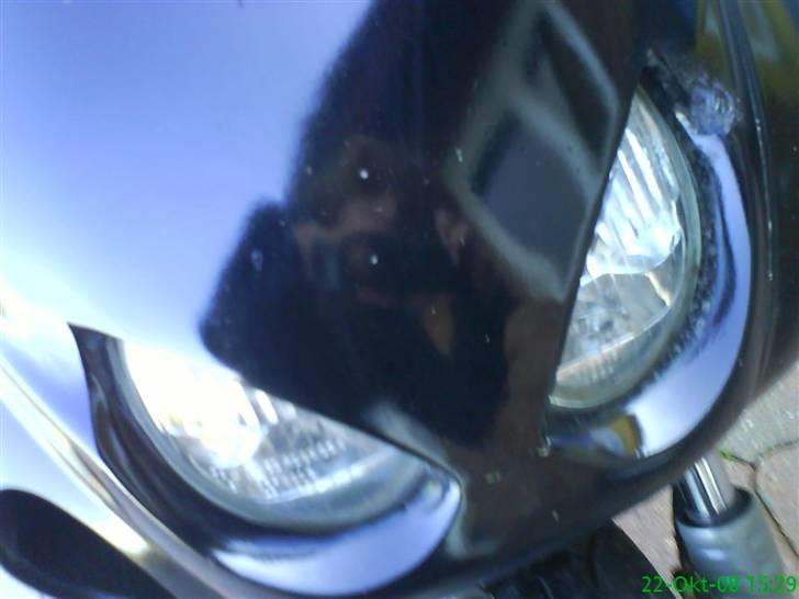 Yamaha Neo's  billede 18