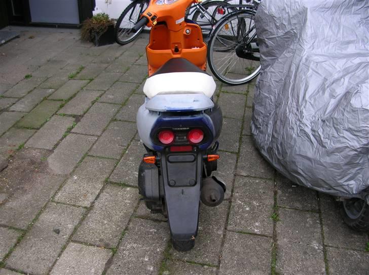 Honda Sfx byttet til comet billede 2