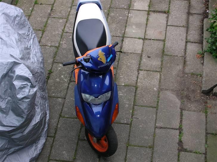 Honda Sfx byttet til comet billede 5