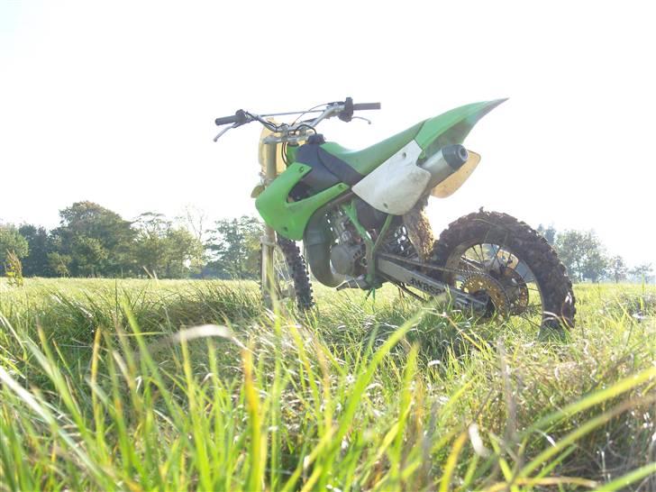 Kawasaki Kx 85 Høj (solgt) billede 13