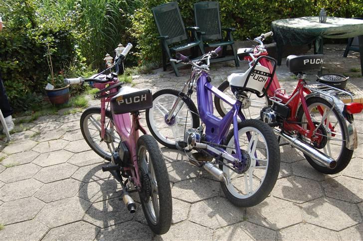 Puch Maxi *Superstar* Solgt - Mig og mine kammiers Maxi´er:P billede 7