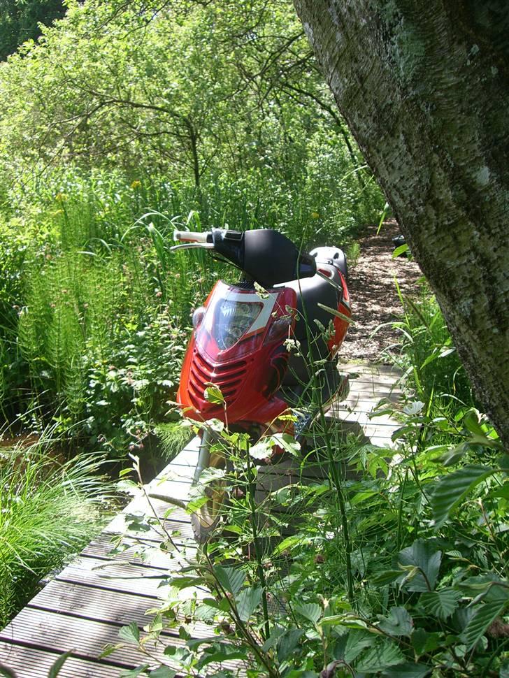 Aprilia Sonic SOLGT billede 2