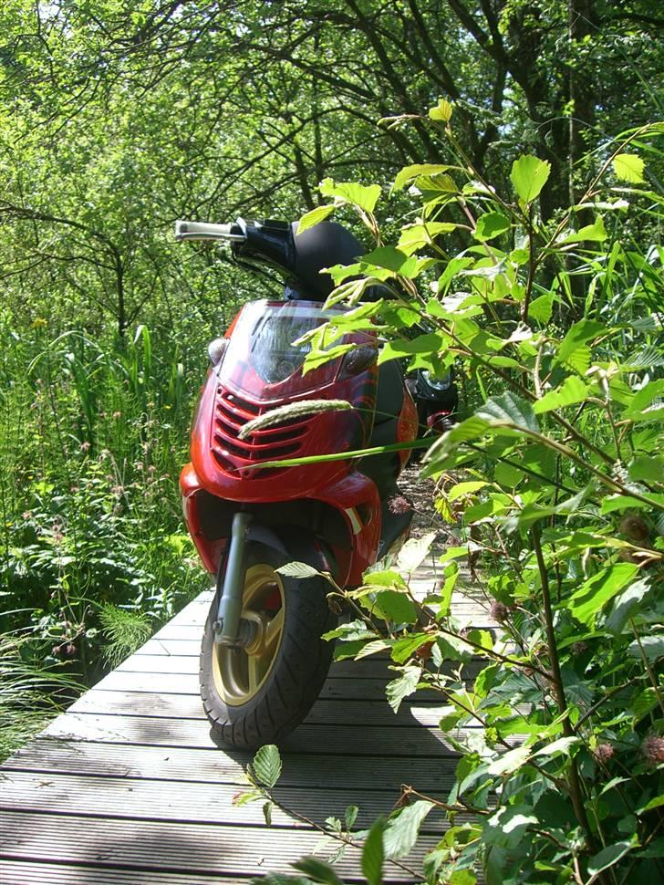 Aprilia Sonic SOLGT billede 3