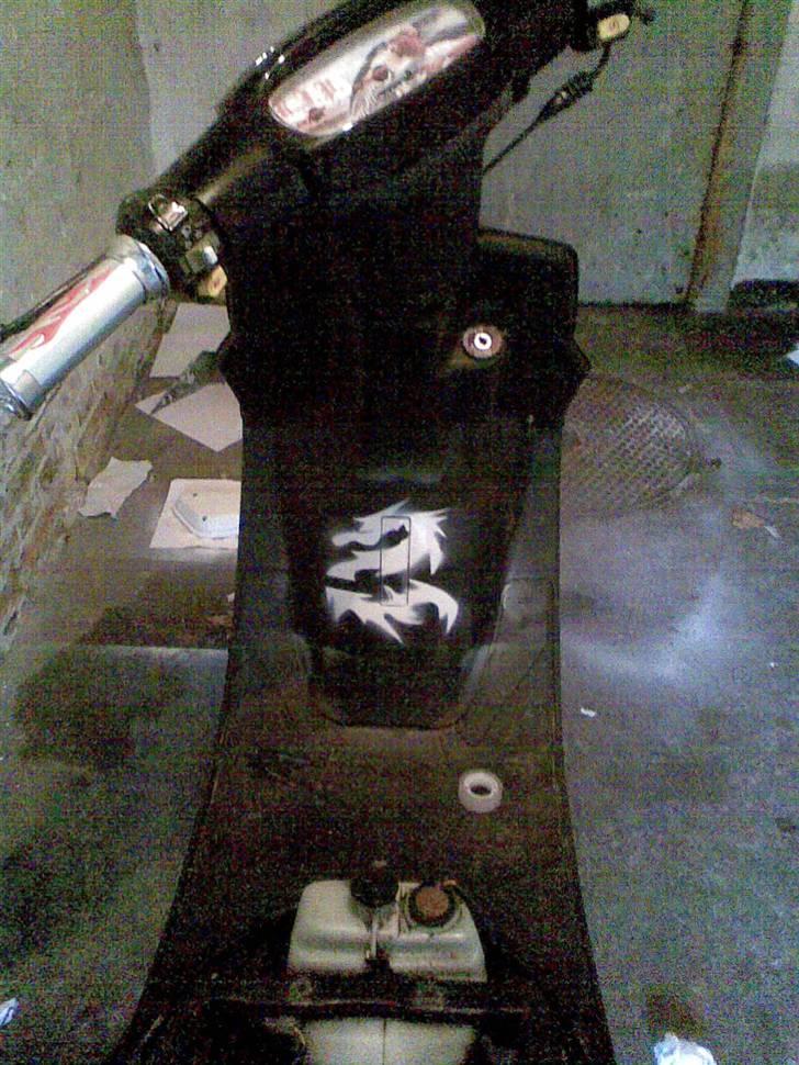 PGO hot50 soglt for 11 lapper billede 18