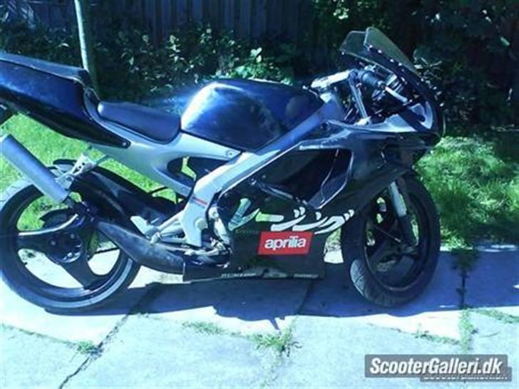 Aprilia RS50 AM6 DD billede 1