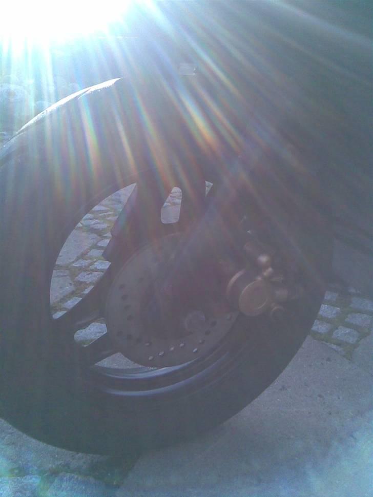 PGO comet std solgt billede 6