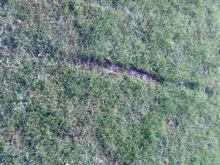 MiniBike dirtbike 125cc kinacross billede 18