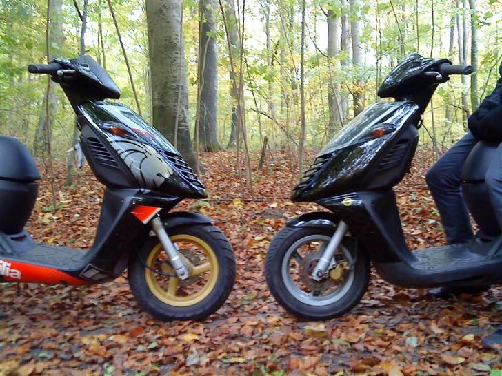 Aprilia Sonic GP BYTTET billede 10