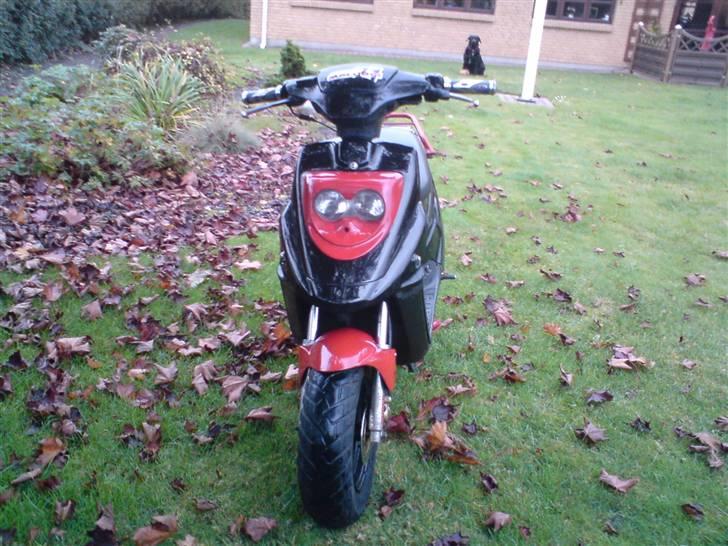 PGO Hot 50 til salg ;) billede 2