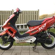 Peugeot Speedfight 2 307 WRC