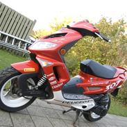 Peugeot Speedfight 2 307 WRC