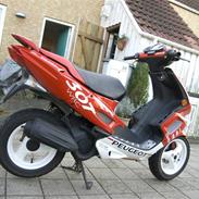 Peugeot Speedfight 2 307 WRC