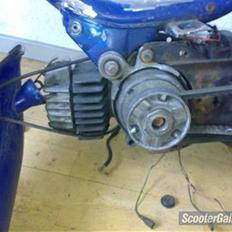 Honda Camino Projekt Soglt