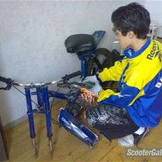 Honda Camino Projekt Soglt