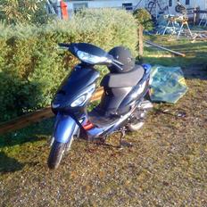 Giantco sprint sport