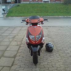 PGO DR. BIG (Før Autolak)