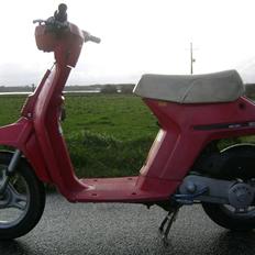 Honda Melody Molly VI - Solgt