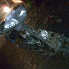 Adly silverfox byttet til maxi