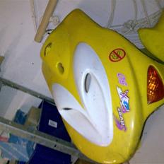 Adly silverfox byttet til maxi