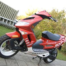 Peugeot Speedfight 2 307 WRC