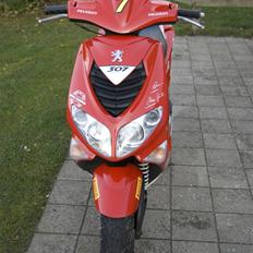 Peugeot Speedfight 2 307 WRC