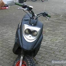 PGO 2004