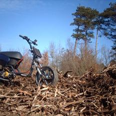 Aprilia Sonic SR TS LCDD ( solgt 