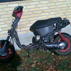 PGO 2004
