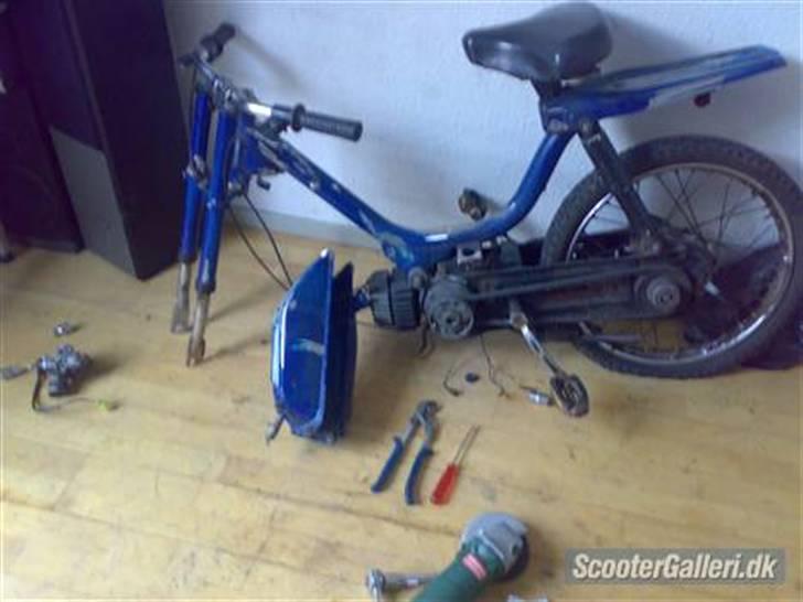 Honda Camino Projekt Soglt billede 1