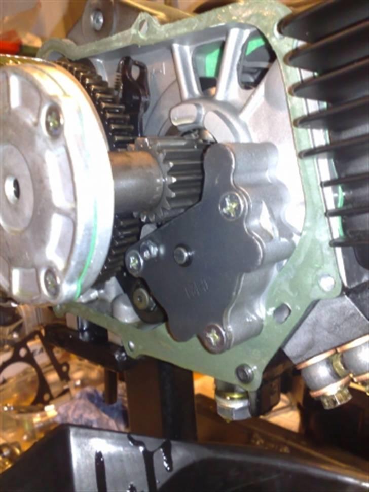 Honda Camino Projekt Soglt billede 4