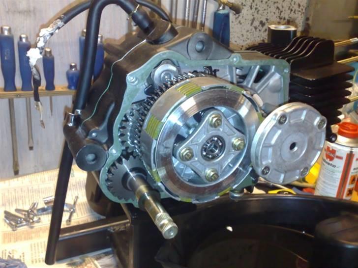 Honda Camino Projekt Soglt billede 6