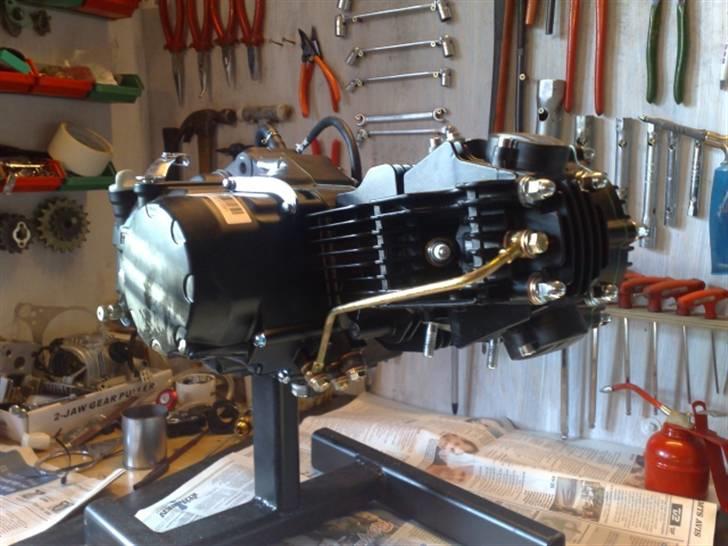 Honda Camino Projekt Soglt billede 9