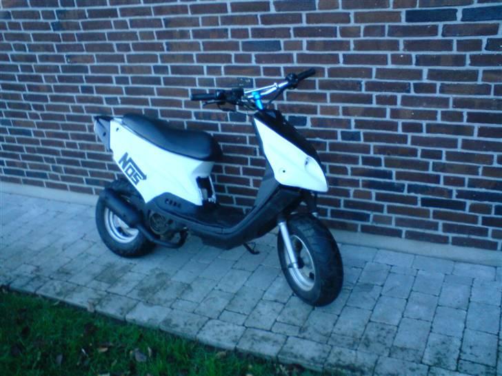 PGO Tornado billede 2