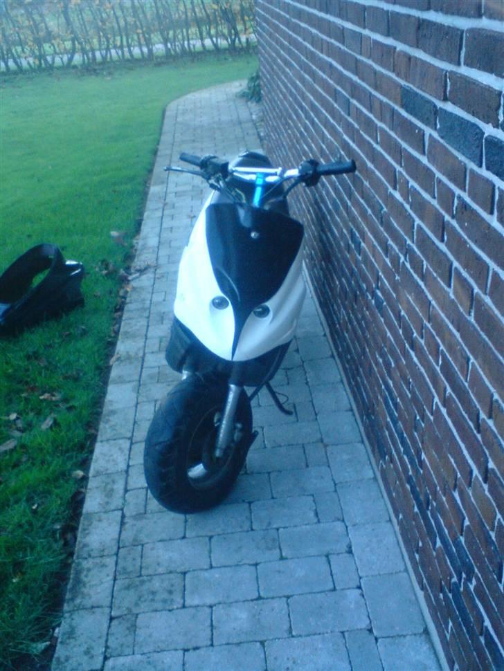 PGO Tornado billede 6