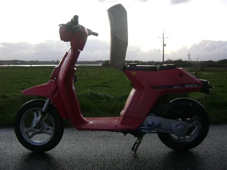 Honda Melody Molly VI - Solgt - Som den står dagen i dag :D November 2008 billede 2
